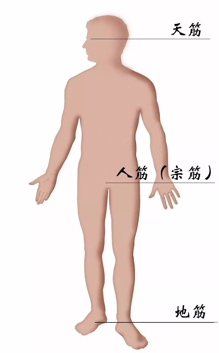八把半锁 推拿和 宗筋疗法 按摩特训 自由微信 Freewechat