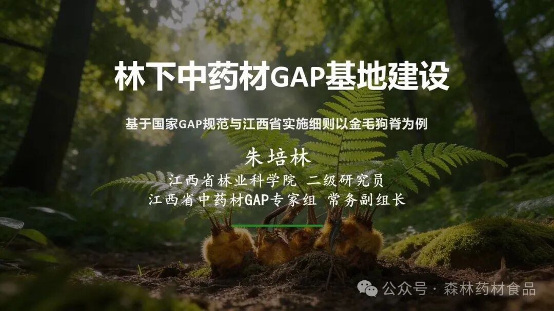 林下中药材GAP基地建设-以金毛狗脊为例