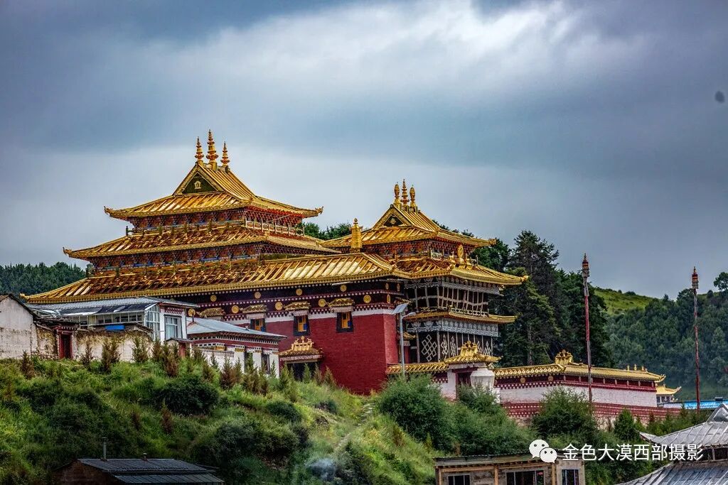 夏天千万别来甘南,我是认真的