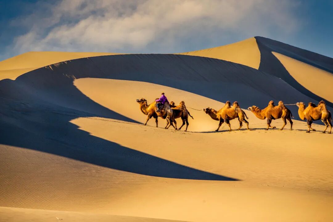 「金秋额济纳摄影团」张掖丹霞/额济纳胡杨林/巴丹吉林沙漠7日