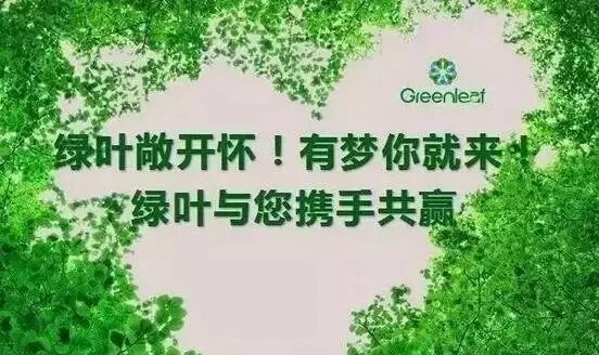 绿叶10年后将来比房产都靠谱,您知道为什么吗?