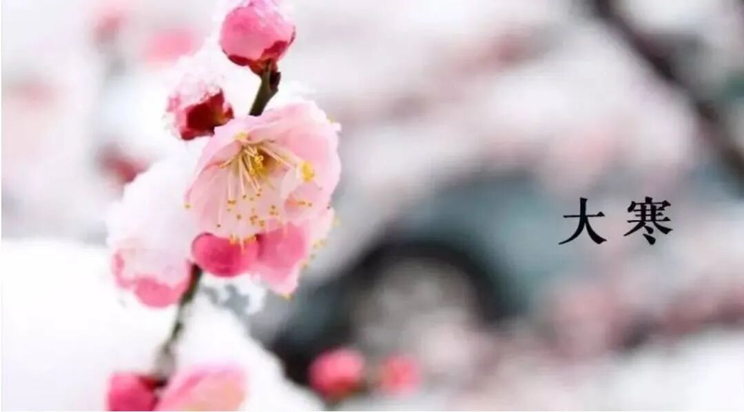夜读 明日大寒,最冷的时候还没到