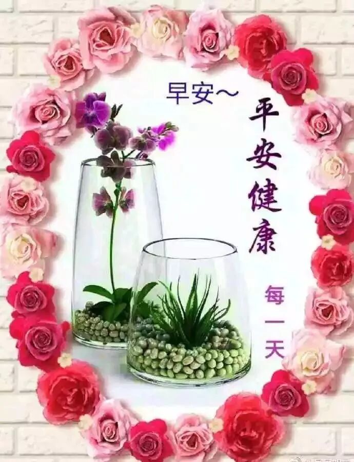 新版早安祝福语图片带字美图动态祝福 最漂亮早上好动态表情图片精选 早上好温馨问候语 微信公众号文章阅读 Wemp