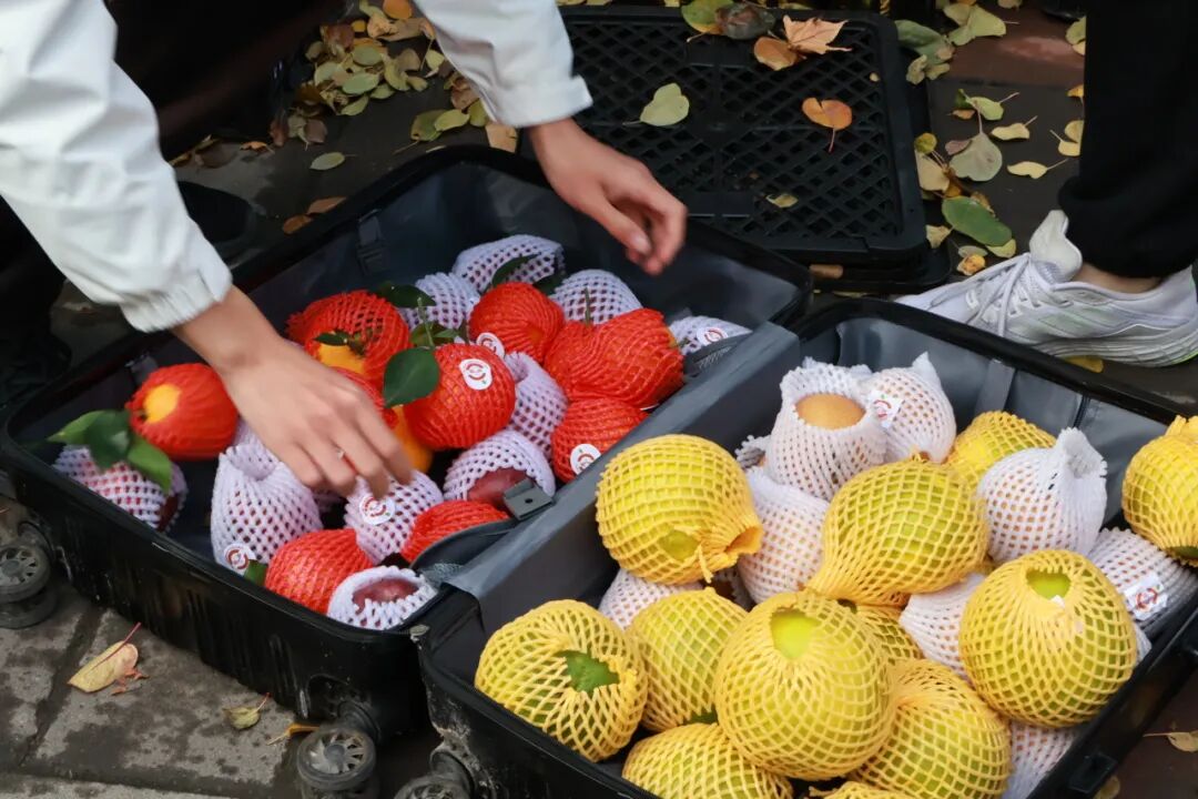 吃不完，根本吃不完！云南一高校给全体师生发褚橙，网友：俺也想要