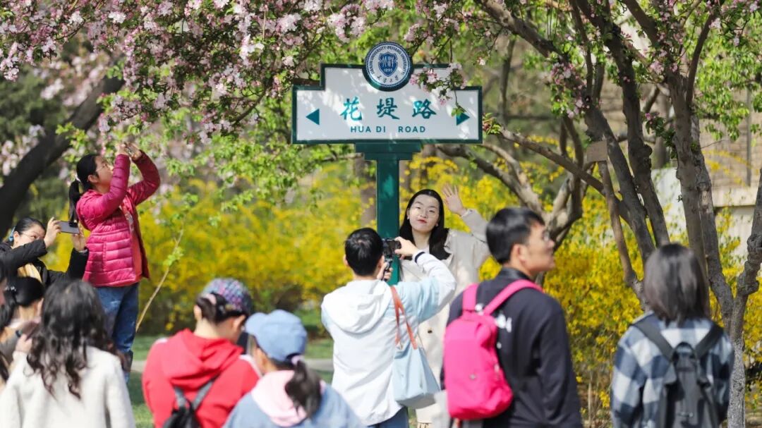 海棠花下话融合来感受一场天大的思维碰撞