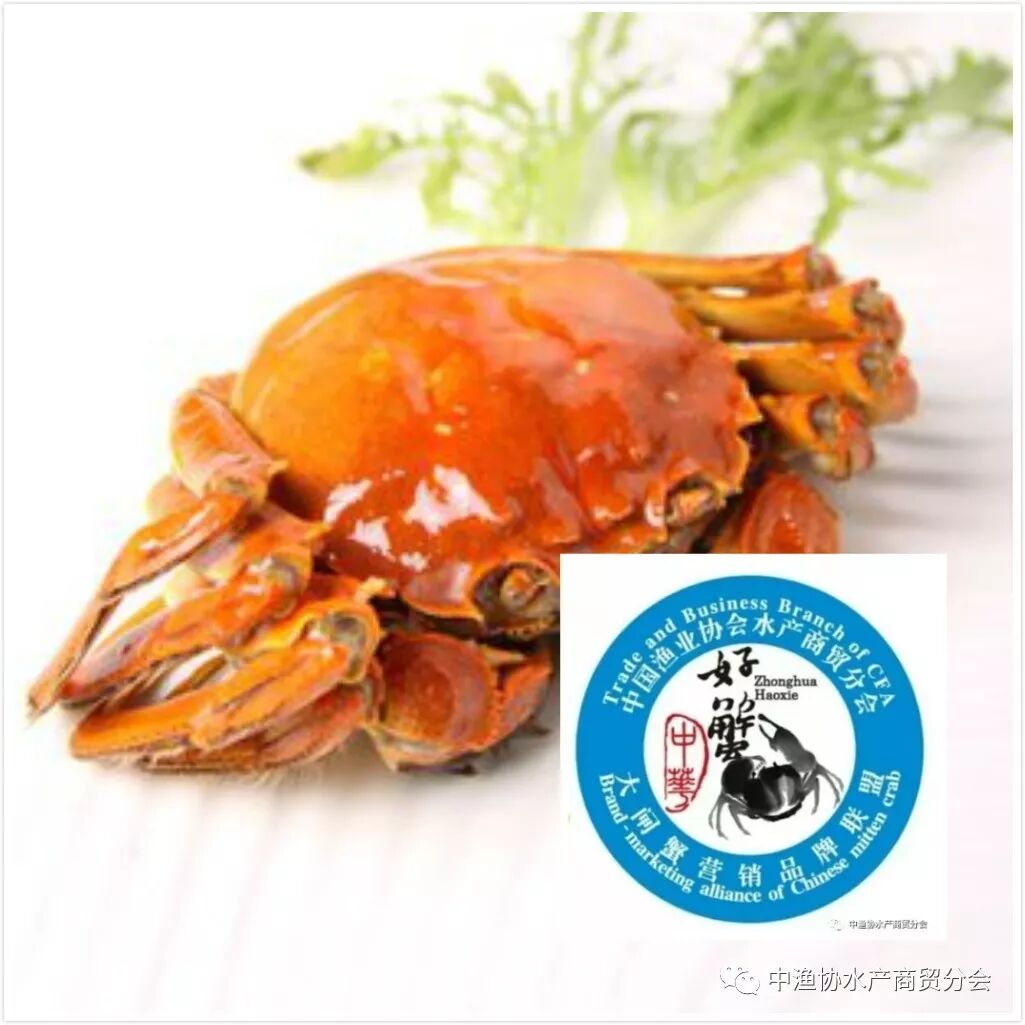 年10月23日大闸蟹行业峰会 中华好蟹 产销对接会在泰州举办 中国渔业协会