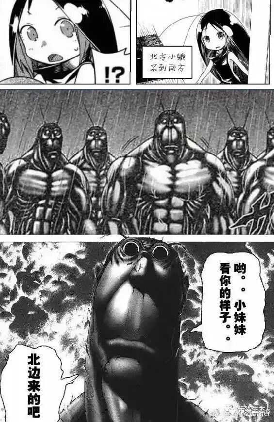 九成人不知道"蟑螂的天敌"是啥:教你简单1招,蟑螂"不敢"来