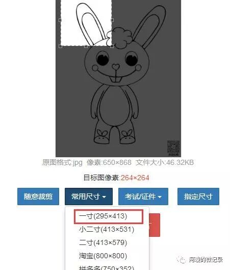 修改照片分辨率dpi_ps如何只裁剪图片不裁剪画布_ps修改照片dpi