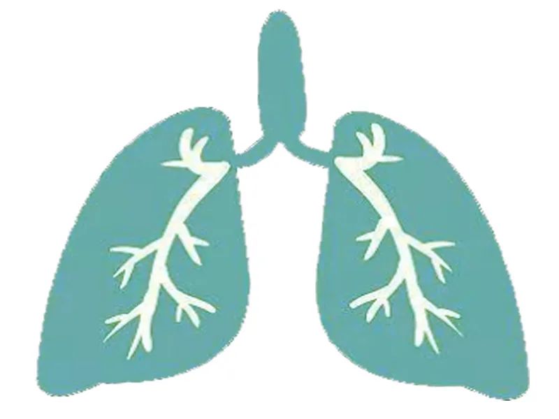 肺部结节 肺部结节