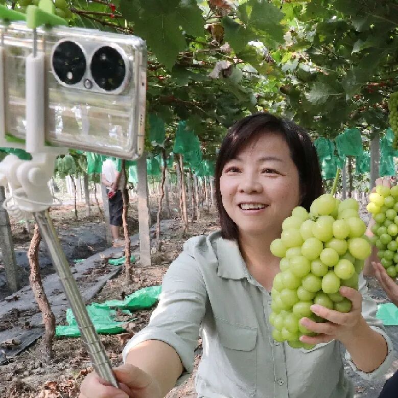 华中农业大学研究生一体化管理系统_学农没前途_学农出来能干些什么