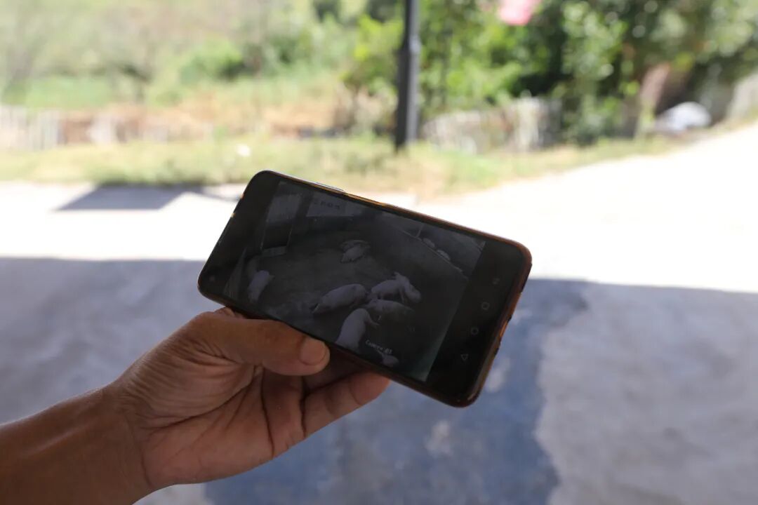 华中农业大学研究生一体化管理系统_学农没前途_学农出来能干些什么