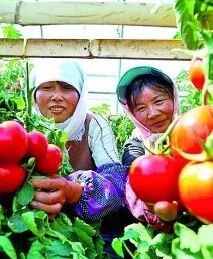 学农出来能干些什么_华中农业大学研究生一体化管理系统_学农没前途