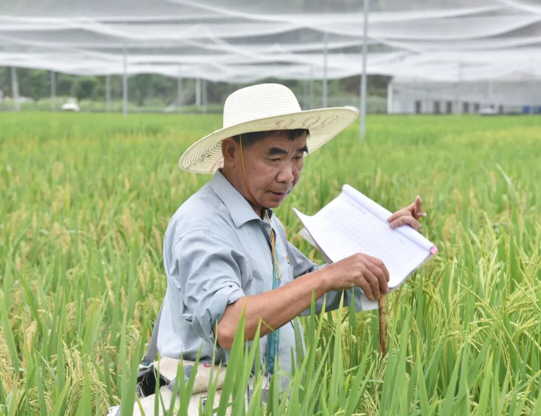 学农没前途_学农出来能干些什么_华中农业大学研究生一体化管理系统