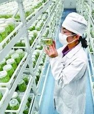 学农出来能干些什么_华中农业大学研究生一体化管理系统_学农没前途