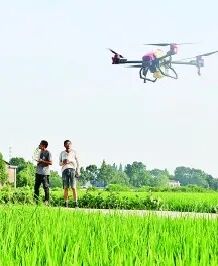 华中农业大学研究生一体化管理系统 【学农真的有前途吗？