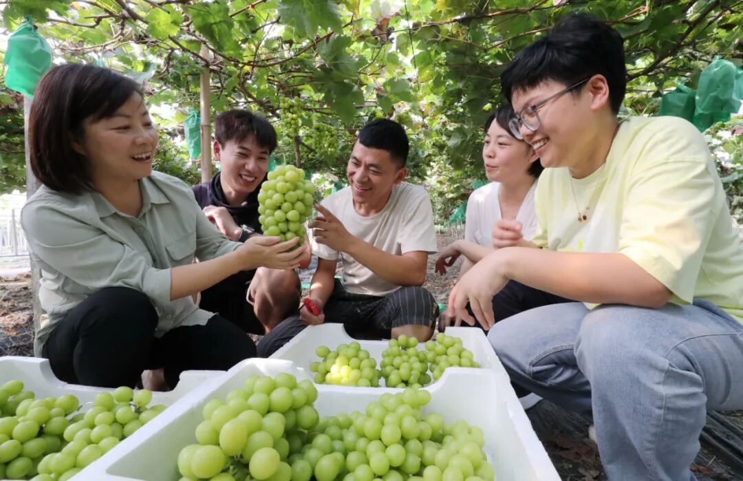 学农出来能干些什么_华中农业大学研究生一体化管理系统_学农没前途