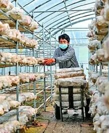 华中农业大学研究生一体化管理系统_学农出来能干些什么_学农没前途