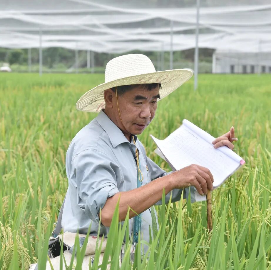 华中农业大学研究生一体化管理系统_学农没前途_学农出来能干些什么