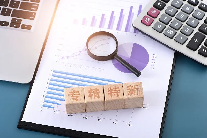 2022年专精特新上市公司创新与发展报告