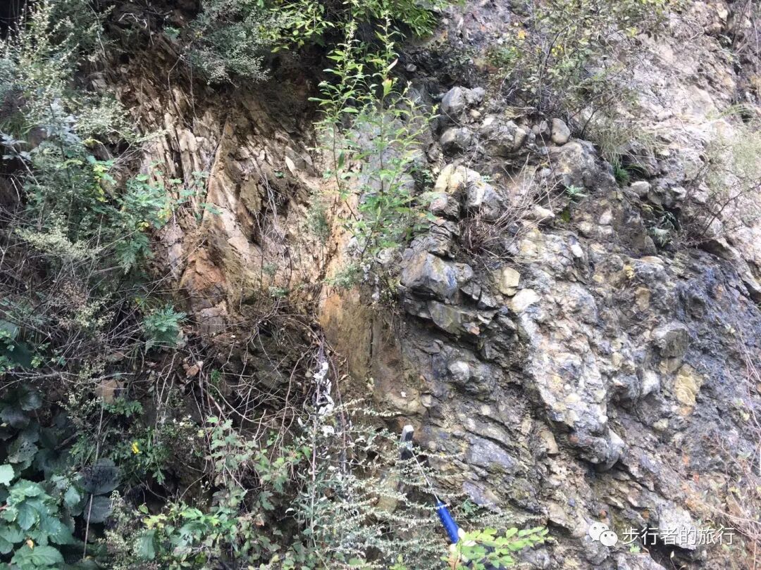 北京西山石炭二叠纪地层的特点 续 全网搜