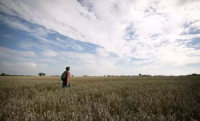 640?wx_fmt=jpeg&tp=webp&wxfrom=5&wx_lazy=1&wx_co=1