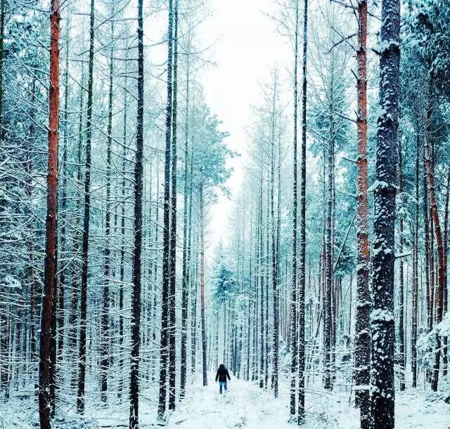 640?wx_fmt=jpeg&tp=webp&wxfrom=5&wx_lazy=1&wx_co=1