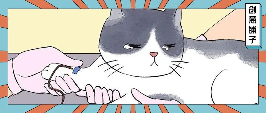 “爸爸用我的血卖钱，可是我快被抽干了”