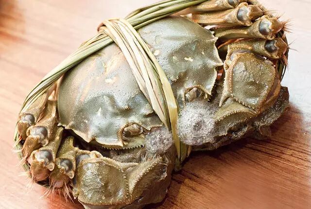 不洗澡的蟹蟹,真有味儿