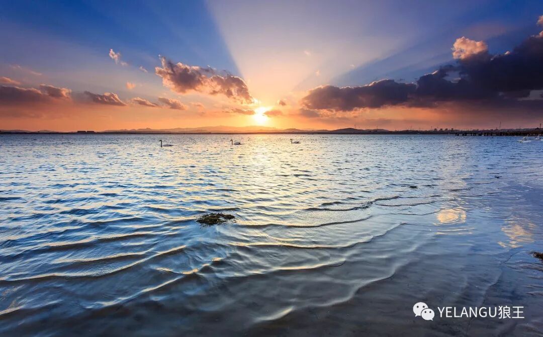 送给初学者的30个摄影技巧