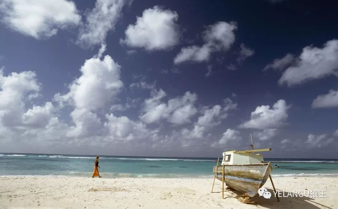 送给初学者的30个摄影技巧