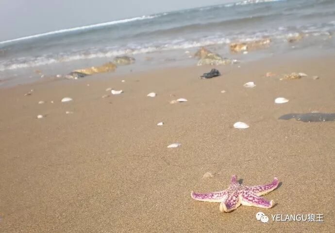 送给初学者的30个摄影技巧