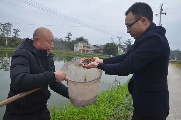 致富经泥鳅_致富经泥鳅养殖视频全集_泥鳅养殖户抱团致富