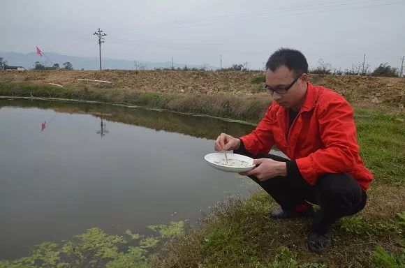 泥鳅养殖户抱团致富_致富经泥鳅_致富经泥鳅养殖视频全集