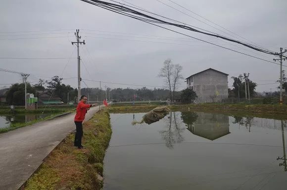 泥鳅养殖户抱团致富_致富经泥鳅_致富经泥鳅养殖视频全集