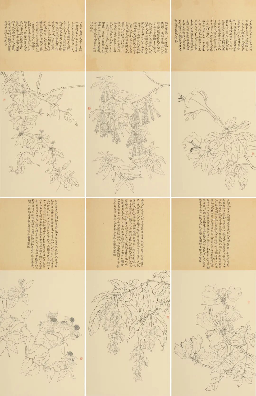 鲁迅美术学院2023届书法本科毕业展(图13)