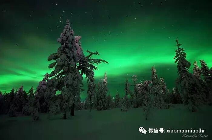 【DB笔试面试373】对于数据库管理系统，下面说法不正确的是（）