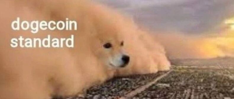 马斯克“最爱”的狗狗币涨近十倍后迅速腰斩，游戏驿站和白银后又现Reddit社区热炒项目