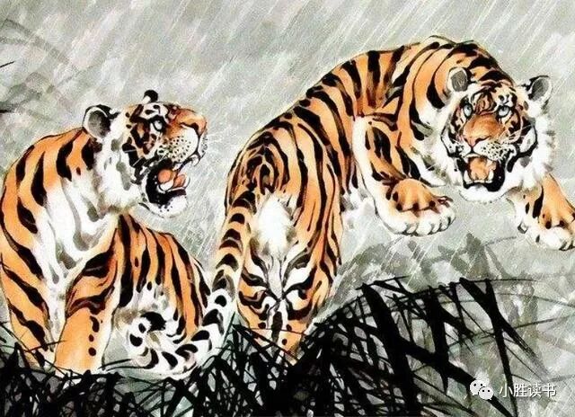 虎男在2021下半年婚姻好好_74年属虎男后半生婚姻_属虎男婚后是什么样的