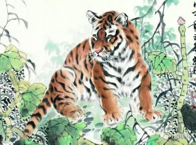 属虎男婚后是什么样的_74年属虎男后半生婚姻_虎男在2021下半年婚姻好好