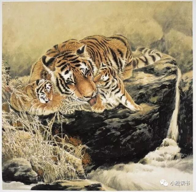 虎男在2021下半年婚姻好好_74年属虎男后半生婚姻_属虎男婚后是什么样的