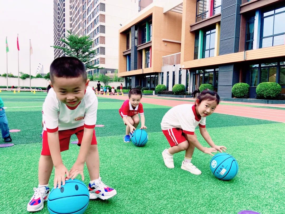 篮球幼儿文案_幼儿篮球_篮球幼儿园