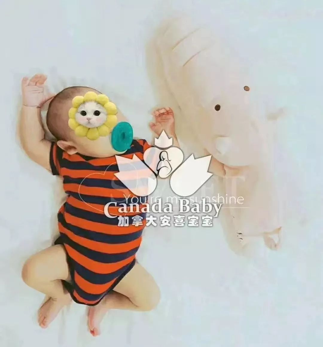 想在加拿大生孩子_加拿大想生孩子怎么辦_加拿大生孩子要錢嗎