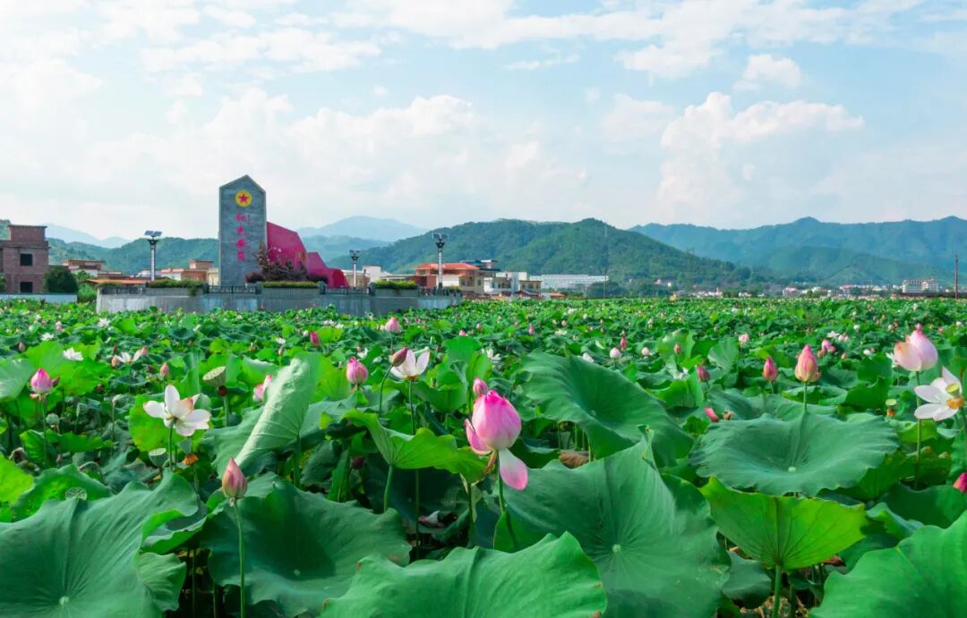 韶关红色教育基地—韶关红色教育基地名单—韶关红色景点有哪些