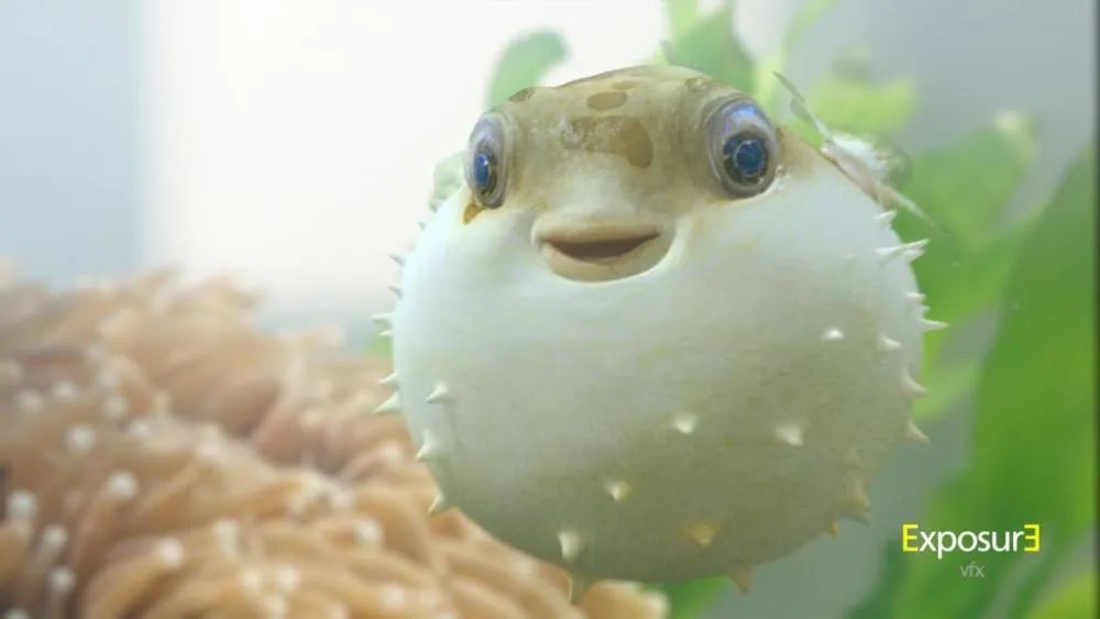 世界奇妙生物_世界奇怪生物_世间奇怪生物