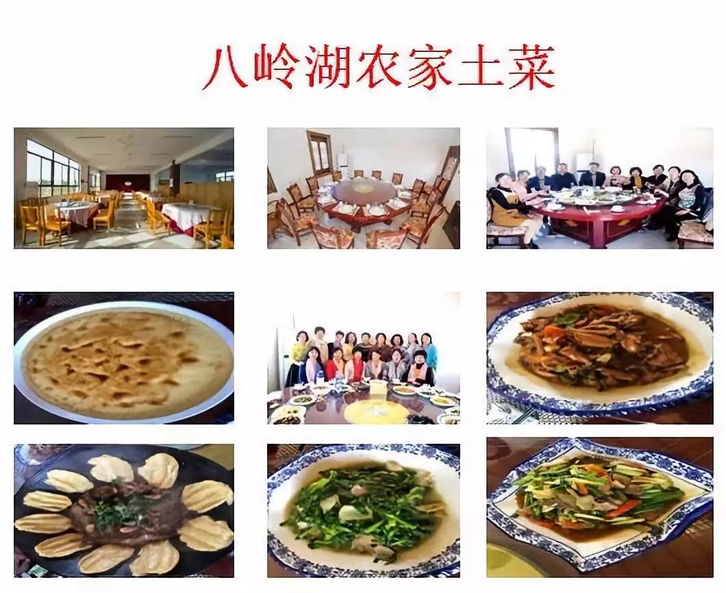 拓展基地,团建,公司团建,企业团建,拓展培训,拓展训练-启点拓展