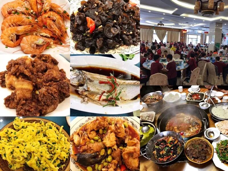 拓展基地,团建,公司团建,企业团建,拓展培训,拓展训练-启点拓展