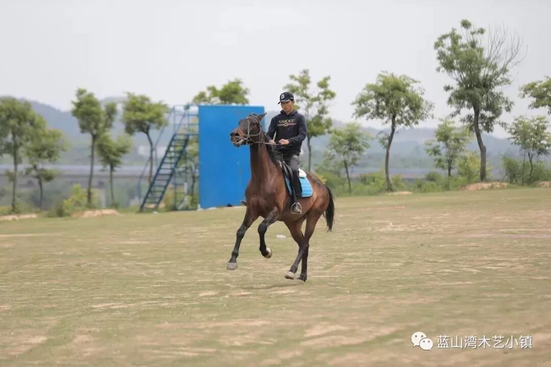 拓展基地,团建,公司团建,企业团建,拓展培训,拓展训练-启点拓展