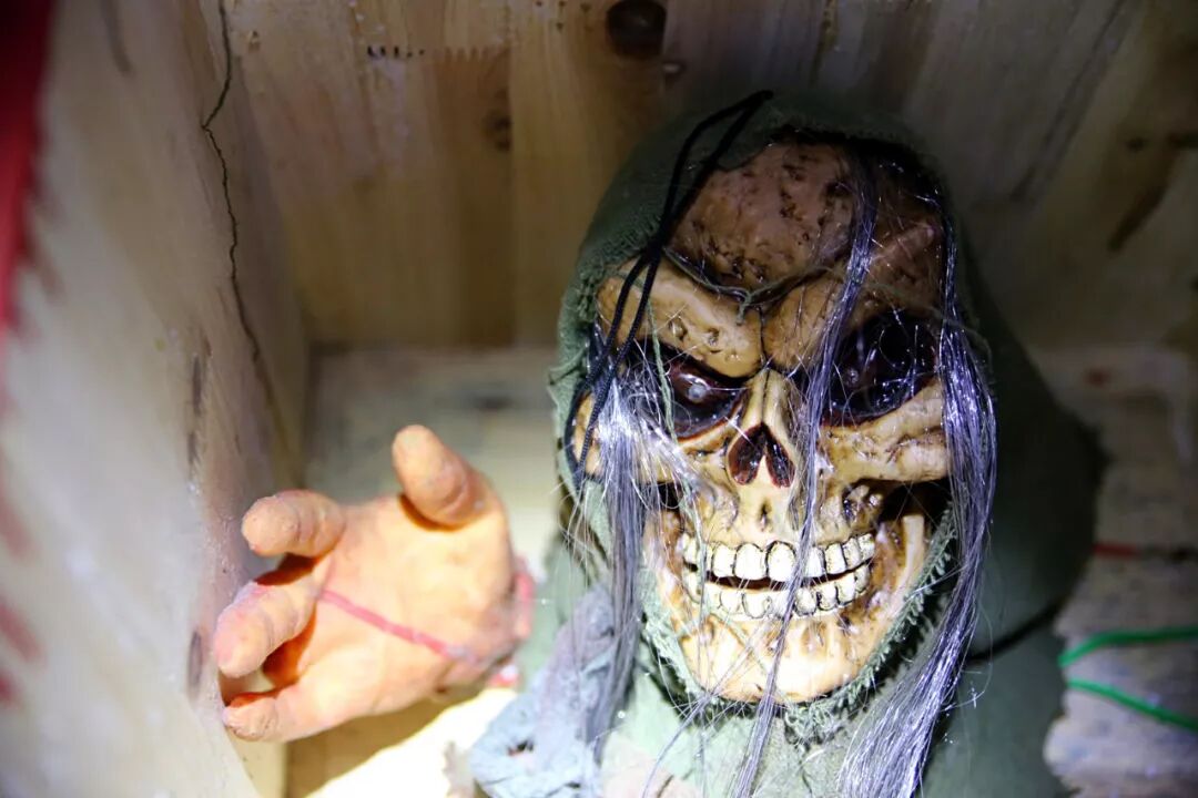 拓展基地,团建,公司团建,企业团建,拓展培训,拓展训练-启点拓展