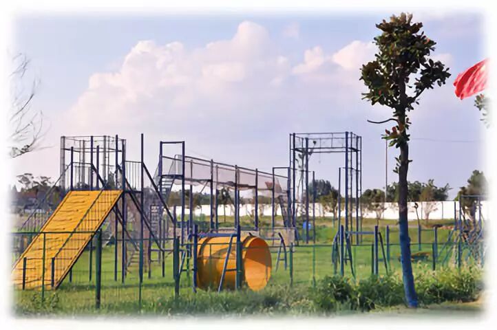 拓展基地,团建,公司团建,企业团建,拓展培训,拓展训练-启点拓展