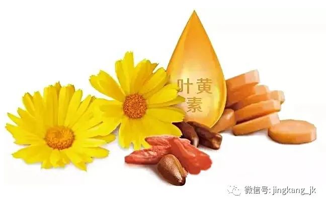 叶黄素到底在补什么？